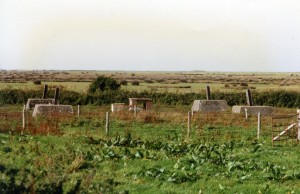 Radar Mast Stumps