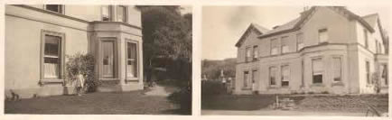 1929 1929